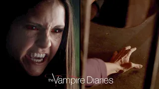 Elena Completes Her Transformation | The Vampire Diaries