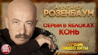 АЛЕКСАНДР РОЗЕНБАУМ ✪ СЕРЫЙ В ЯБЛОКАХ КОНЬ ✪ LIVE ✪ ALEXANDER ROZENBAUM ✪ A DAPPLED GREY HORSE