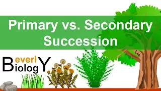 Primary vs. Secondary Ecological Succession