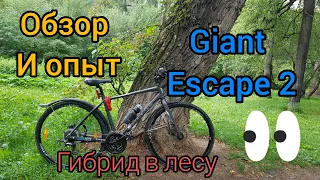 Обзор и опыт эксплуатации Giant Escape 2. Оптимальный недорогой гибрид