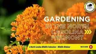 Gardening in the North Carolina Piedmont