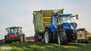Grass silage 2021 - Gras Hakselen + inkuilen - 1e snede - New Holland T7 - Loonbedrijf stegeman