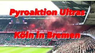 Pyroshow Ultras 1. Fc Köln auswärts in Bremen