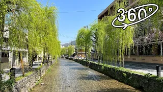 【5.7K 360° VR】京都・祇園白川の柳（春） / Kyoto Willows in Spring, Gion Shirakawa, 360 VR Walking Video