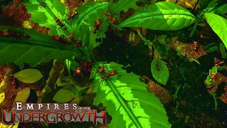 CRIANDO UMA COLÔNIA DE FORMIGA CORTADEIRA! 🐜 - Empires of Undergrowth #1