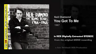 Neil Diamond – You Got to Me – 1967 [DES STEREO]