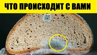 А Вы Знали? Вот Что Происходит с Организмом, Когда Вы Съедаете Продукты с Плесенью...