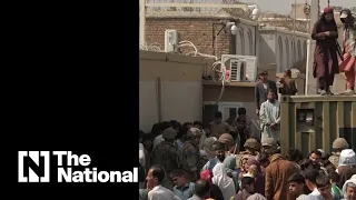 British troops and Taliban co-operate to manage crowds at Kabul airport