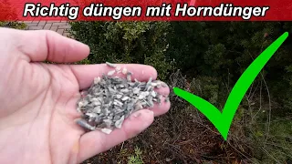 Hornspäne Dünger Anwendung - Hornmehl richtig düngen - Wann, wie oft, dosieren, für welche Pflanzen