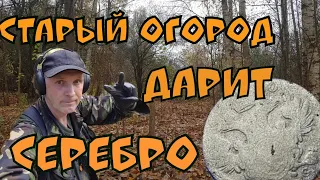 Раскопки усадьбы. Старинный огород дарит серебро .Коп 2018.Minelab  Safari.