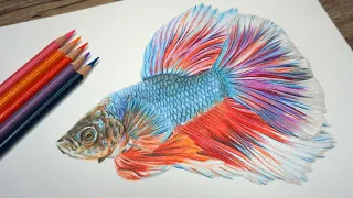 How To: Draw REALISTIC FISH SCALES - Prismacolor Colour Pencil Tutorial