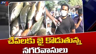 చేపలకు జై కొడుతున్న నగరవాసులు | Mutton Price Hike in Hyderabad Due to Bird Flu Scare | TV5 News