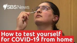 How to test yourself for COVID-19 from home | SBS News