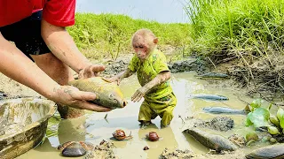 Bibi and Dad bathed in mud and harvested fish, snails and clams!