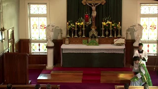 SSPXNZLIVE Live Stream - 13 August 2017 High Mass