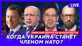 Волкер, Кубилиус, Хербст и Яценюк. Киевский форум по безопасности