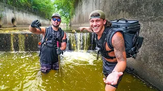 Searching Canal with Major Pollution!! (dead animal + drugs) *NEVER AGAIN*