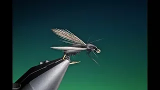 Fly Tying a Float foam ant fly with Barry Ord Clarke