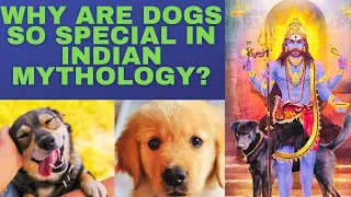 Importance of Dogs in Indian Mythology! All you need know about these Pure Souls!