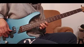 Whatchu Thinkin' - Red Hot Chili Peppers (Raw Bass Cover)