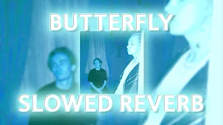 DIOR, PUSSYKILLER - BUTTERFLY (slowed reverb prohladny remix)