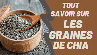 [Nutrition saine] Tout savoir sur les graines de chia