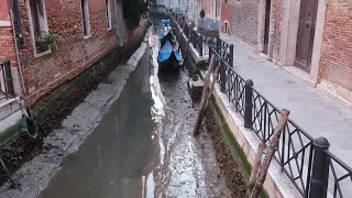 Venezia con l'acqua bassa: la marea insolita lascia i canali a secco