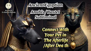 Anubis & Bastet Egyptian Subliminal to Communicate/ Connect with Your Pet in Afterlife/ After Dea th