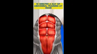 10 minutes a day of abdominal training at home #absworkout #homeexercises #absexcercise #homeabs