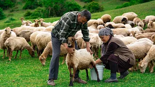 Crafting Authentic Caucasus Cheese with Fresh Sheep Milk