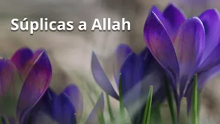 Súplicas a Allah - Parte 1