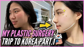 (SUB) MY PLASTIC SURGERY TRIP TO KOREA Part 1 (Facial contour, Rhinoplasty & Double eyelid surgery)