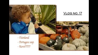 #Vlog 17 Single mom  ll  Tuinland 🌾🌹🌱  ll  P'gese Soep? 🥣 ll  Spiegel lebberen  ll  Kerst🎄??