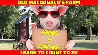 Old MacDonald Activity For Kids - Sing and Count on Old MacDonald's Farm