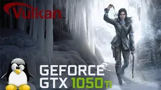 Linux | Rise of the Tomb Raider on a GTX 1050 Ti (benchmark, Vulkan)