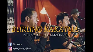 Lagu Burung KakaTua  Remake by NTT VOICE 2020