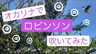 ロビンソン🦅をオカリナで演奏してみた＼(*⌒0⌒)♪