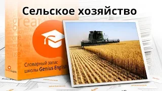 Тема: "Сельское хозяйство  " - Словарный запас школы GeniusEnglish