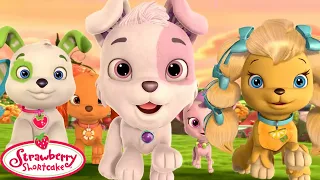 Strawberry Shortcake 🍓 The Berry Big Dog Park! 🍓 1 hour Compilation 🍓 Cartoons for Kids