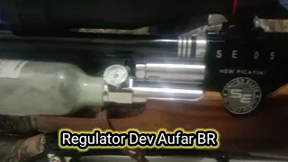 SE 05 NP ft Regulator Aufar BR New Rotary 2022