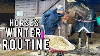 EQUESTRIAN WINTER ROUTINE | A Day in the Life Style Vlog