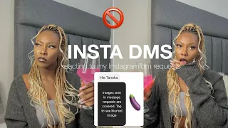 Reacting to my Instagram Dm Requests (…my poor innocent eyes 😔) || Tanaka Paula