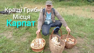 СаМий КраЩий ПоХід СеЗону. З БатьКами в ГриБи...mushrooms