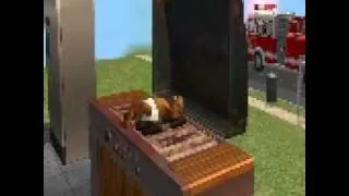 SIMS 2 BABY GRILL FIRE