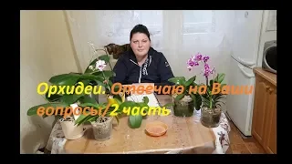 Орхидеи. Отвечаю на Ваши вопросы/2 часть