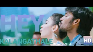 Venghai-Hey Kalangathala Hd Full Video Song 1080p