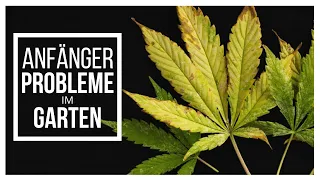 Typische Anfängerfehler im 🥦 Garten - Was du wissen solltest!