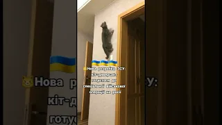 горить палає в окупантів жопа #ukraine #best #funny #cute #recommended #memes #україна #перемога