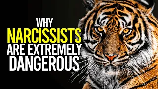 Why Narcissists Are Extremely Dangerous