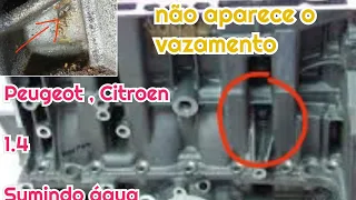 Vazamento de água , Peugeot 207 , Citroen C3 , 1.4 , furo no bloco , ninguém descobre , sumindo água